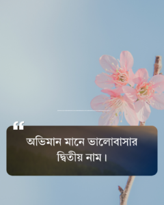 বাংলা শর্ট ক্যাপশন attitude