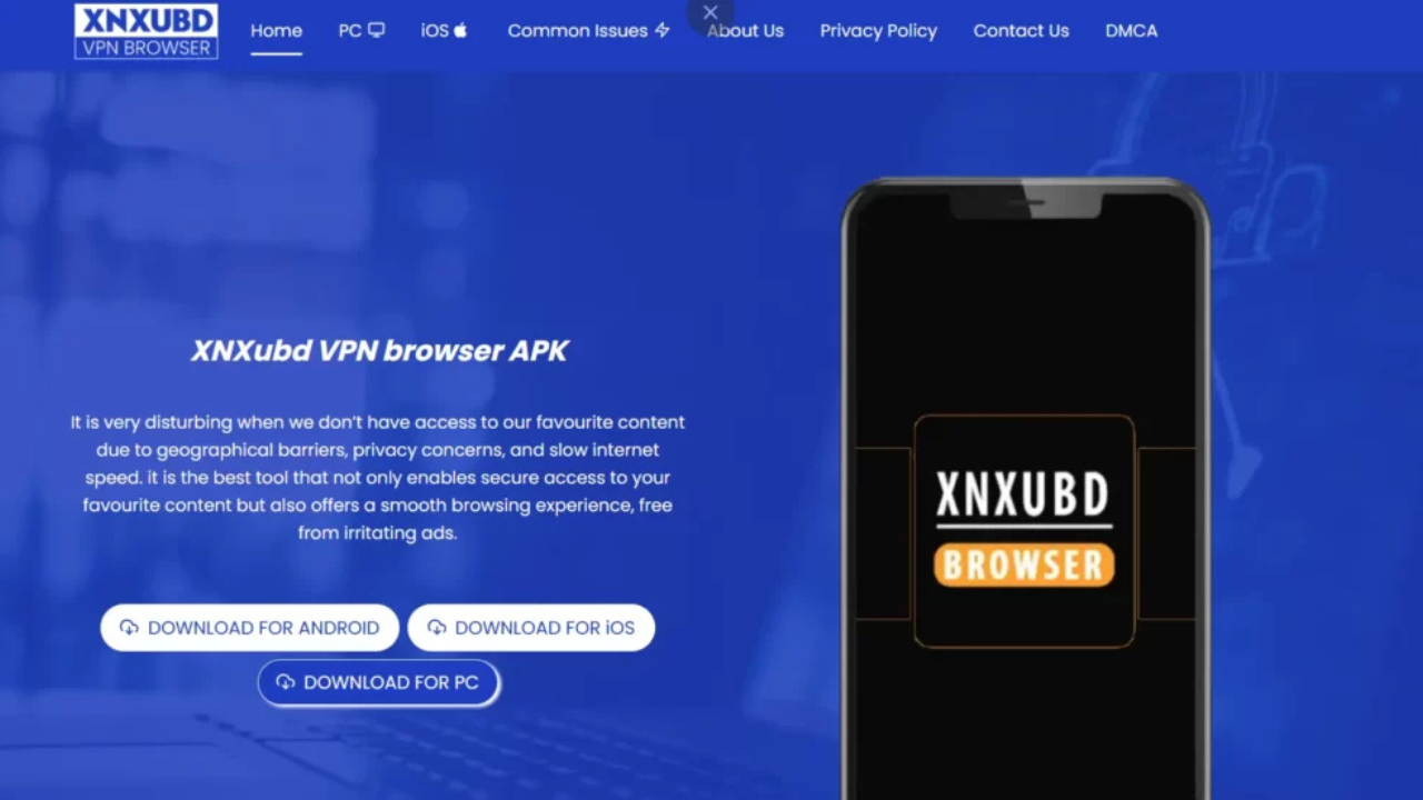 What is XNXubd VPN Browser APK?