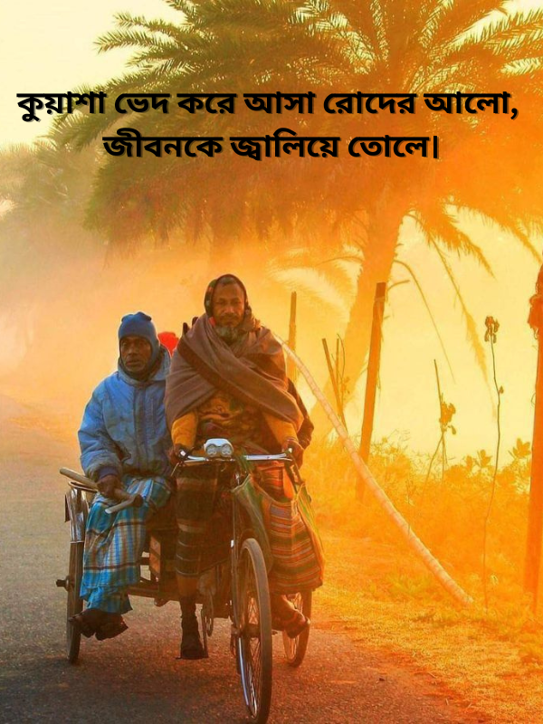 কুয়াশা ভেদ করে আসা রোদের আলো, জীবনকে জ্বালিয়ে তোলে।.png