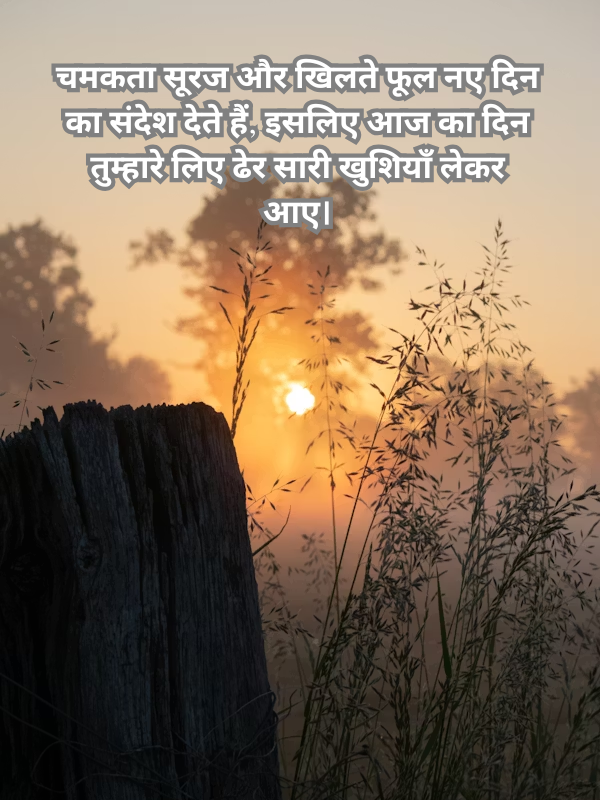 चमकता सूरज और खिलते फूल नए दिन का संदेश देते हैं.png