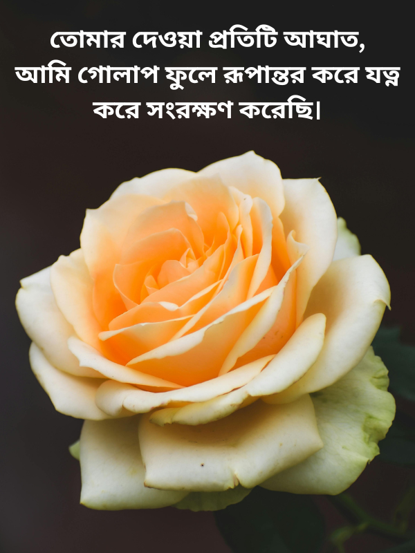 গোলাপ ফুল নিয়ে ক্যাপশন বাংলা