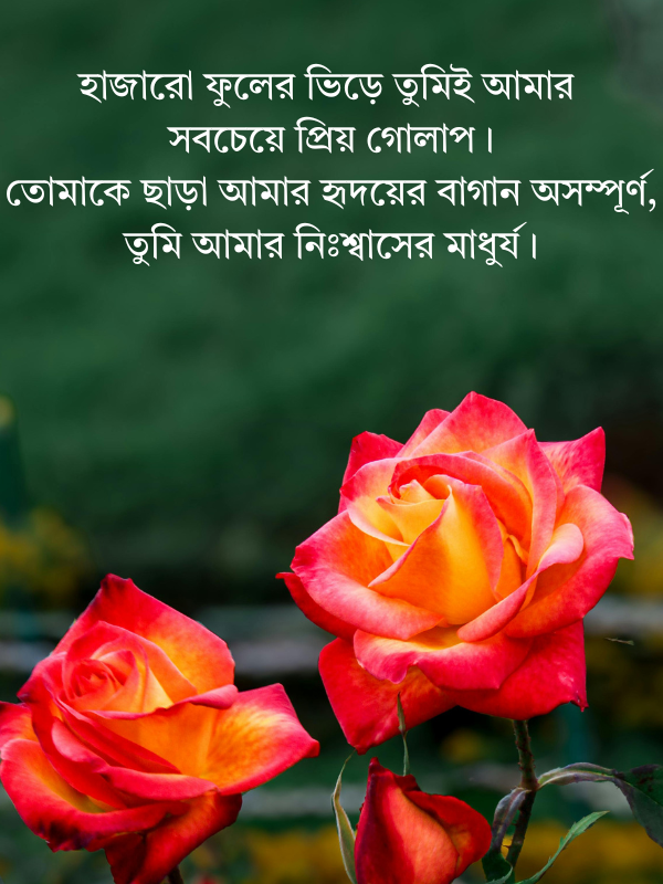 গোলাপ ফুল নিয়ে ক্যাপশন