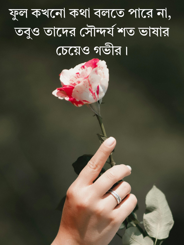 সাদা গোলাপ ফুল নিয়ে ক্যাপশন