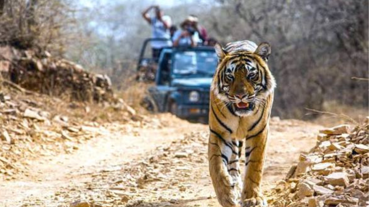 5-Day Trip Cost Breakdown (₹50,000 Budget)