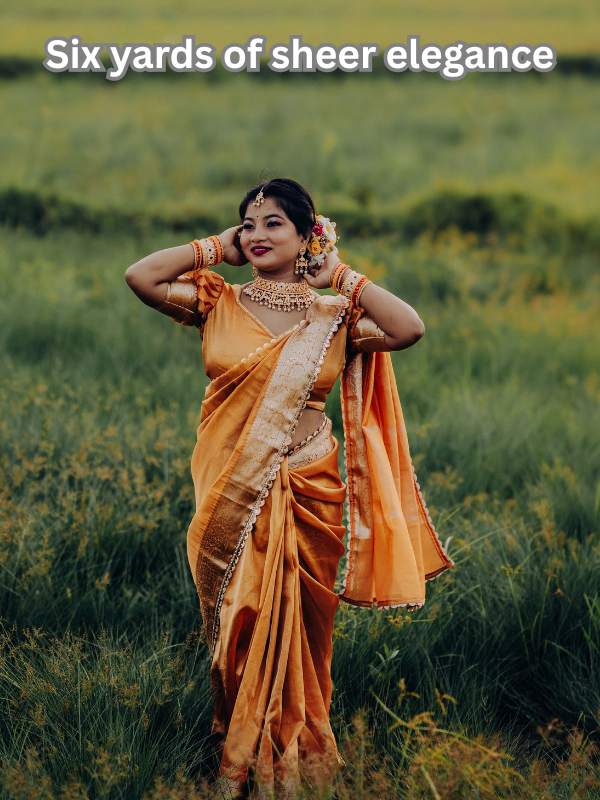 Saree Captions The Six Yard Magic